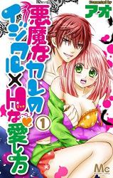 Akuma na Kare no Ijiwaru x H na Aishikata