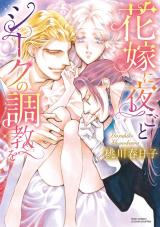 Hanayome ni Yorugoto Shiiku no Choukyou wo