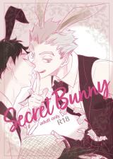 Haikyu!! dj - Secret Bunny