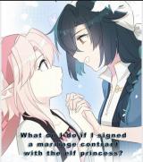 What Do I Do If I Signed a Marriage Contract With the Elf Princess?