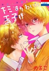 Kimi wa kawaii ouji-sama