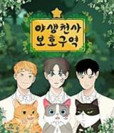 Cats From Heaven