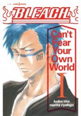 Bleach: Can't Fear Your Own World (Novel)