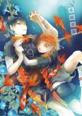 Haikyu!! dj - Tansan Shounen