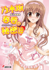 Nogizaka Haruka no Himitsu (Novel)