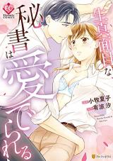 Kimajimena Hisho wa Mederareru