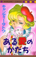 Aru Ai no Katachi
