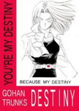Dragon Ball Z dj - Destiny