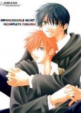 Harry Potter dj - Unforeseeable Heart: Incomplete Feelings