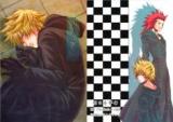 Kingdom Hearts dj - Asu wo Yumemu