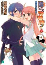 Kage Kara Mamoru! (Novel)