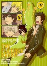 Gintama dj - The Flexible Days!?