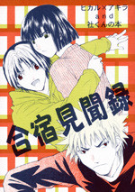 Hikaru no Go dj - Gasshuku Kenbunroku