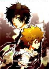 Katekyo Hitman Reborn! dj - Butterfly Effect
