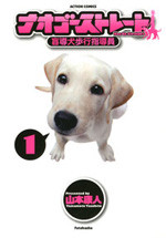 Nao Go Straight - Moudouken Hokou Shidouin