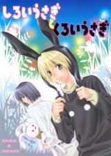 Hikaru no Go dj - Shiroi Usagi to Kuroi Usagi