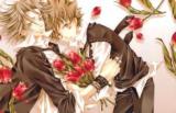 Katekyo Hitman Reborn! dj - Memoria