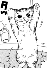 Neko Oyaji