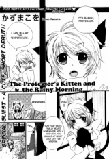 The Professor's Kitten and the Rainy Morning