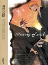 Bleach dj - Tamashii no Kioku