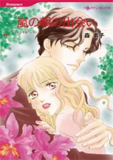 Arashi no Asa no Deai