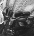 Hakaider