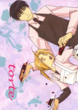 Fullmetal Alchemist dj - Torte
