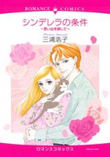 Cinderella no Jouken - Omoide o Sagashite