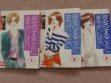 Kanojo no Suru Koto ni Machigai wa Nai