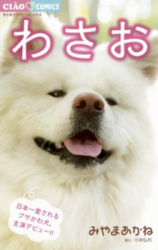 Wasao