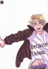 Hetalia dj - Because I Know.