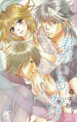 Kimi ga Iru Wake