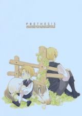 Hetalia dj - Prethesis