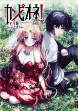 Campione! (Novel)