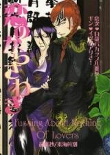 Bleach dj - Fussing About Nothing of Lovers