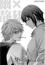 Durarara!! dj - My Life as a Dog
