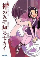 Kami nomi zo Shiru Sekai (Novel)