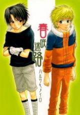 Naruto dj - Spring Labyrinth