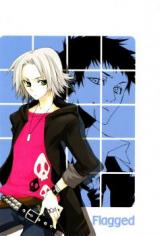 Katekyo Hitman Reborn! dj - Flagged