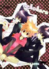Katekyo Hitman Reborn! dj - Nekokara