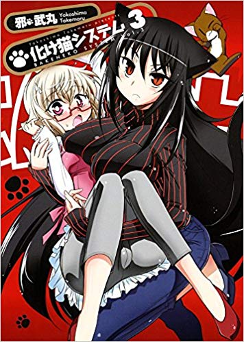 Bakeneko System