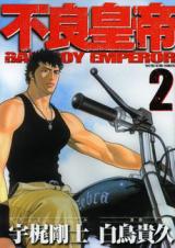Furyou Koutei