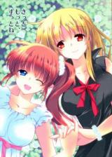 Mahou Shoujo Lyrical Nanoha dj - Surely, More, Always