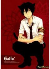 Katekyo Hitman Reborn! dj - Gatto