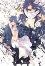 Magi dj - Stray Night